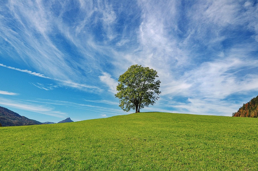 What Green Therapy Can Do for You