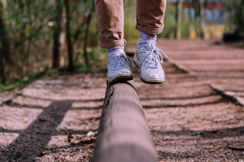 Walk Your Way to Wellness 
